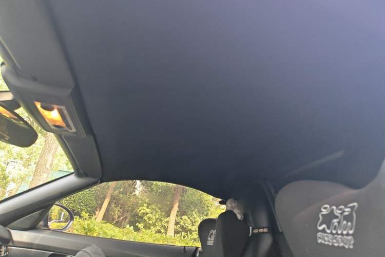 Used BMW Z4 2009 sDrive23i Leading Model Headliner
