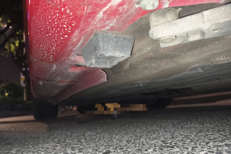 Used BMW Z4 2009 sDrive23i Leading Model Chassis Rear Left
