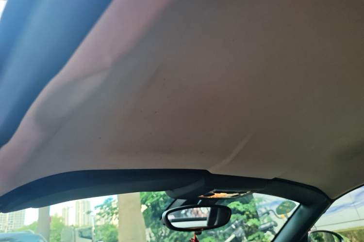 Used BMW Z4 2009 sDrive23i Leading Model Headliner