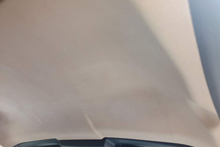 Used BMW Z4 2009 sDrive23i Leading Model Headliner