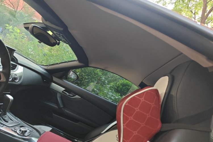 Used BMW Z4 2009 sDrive23i Leading Model Headliner
