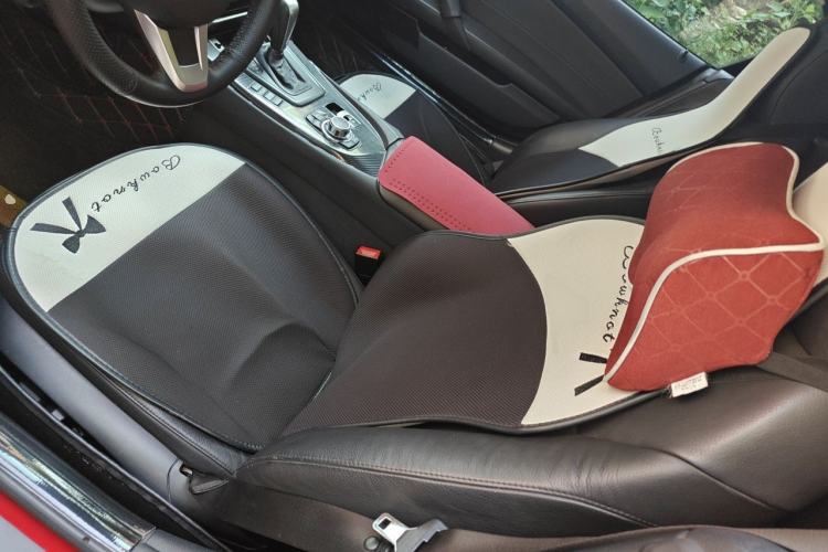 Used BMW Z4 2009 sDrive23i Leading Model Left Front Seat