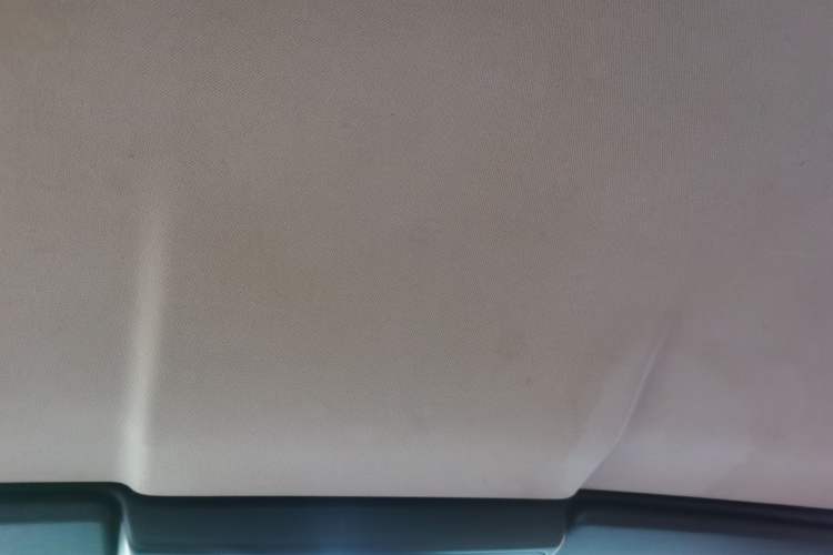 Used BMW Z4 2009 sDrive23i Leading Model Headliner