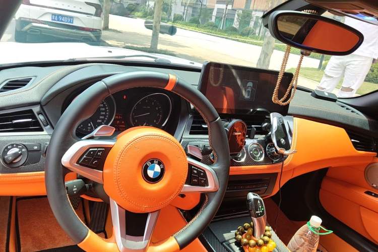 Used BMW Z4 2009 sDrive23i Leading Model Headliner