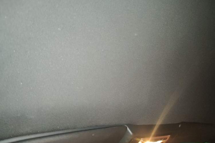 Used BMW Z4 2011 sDrive23i Flame Limited Edition Headliner