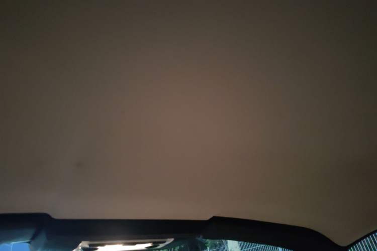 Used BMW Z4 2012 sDrive20i 10th Anniversary Edition Headliner