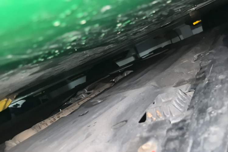 Used BMW Z4 2019 sDrive 25i M Sport Package Chassis Front Right