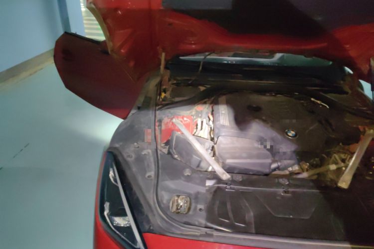 Used BMW Z4 2019 sDrive 25i M Sport Package Engine Bay Right