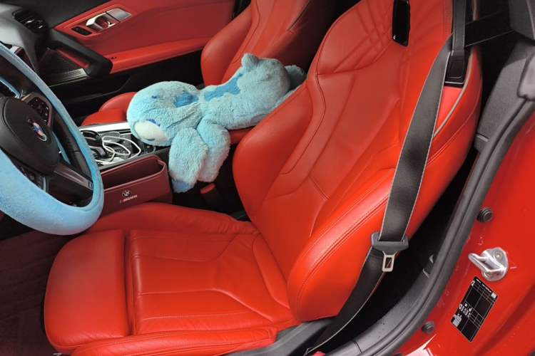 Used BMW Z4 2019 sDrive 25i M Sport Package Left Rear Seat