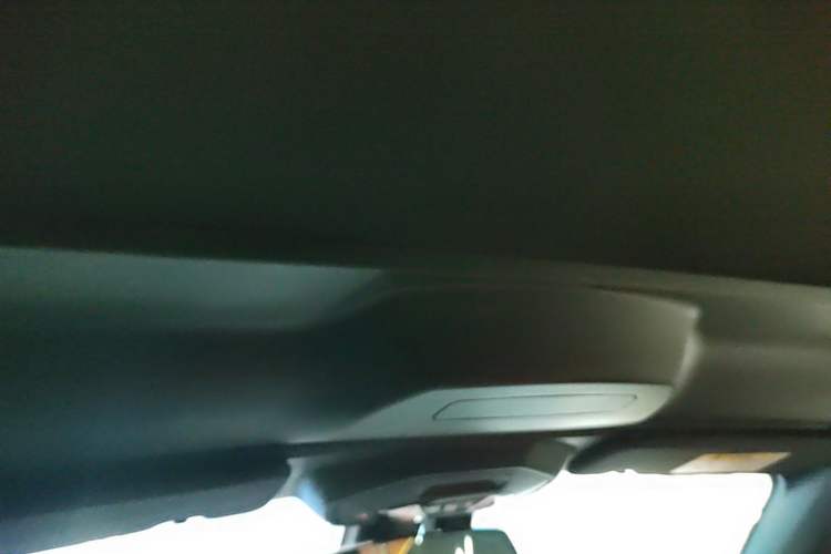 Used BMW Z4 2022 sDrive 25i M Sport Package Headliner