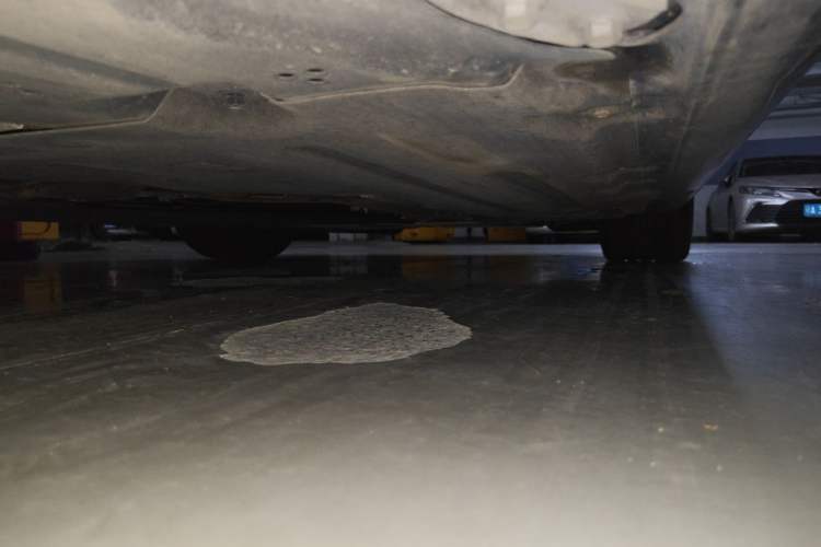 Used BMW Z4 2023 sDrive 25i M Sport Package Chassis Rear Right