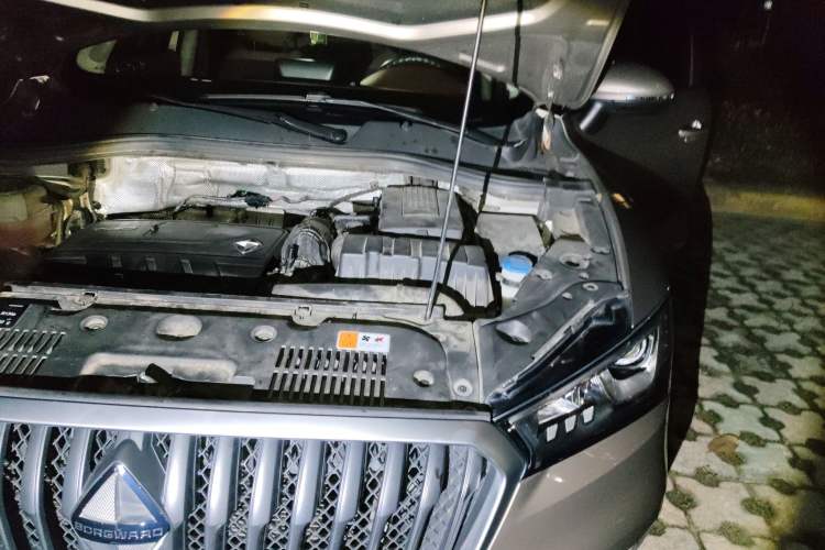 Used BORGWARD BX5 2017 20TGDI Automatic Two-Wheel Drive Pioneer Edition Engine Bay Left