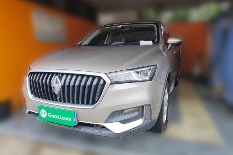 BORGWARD BX5 2017