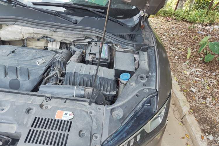 Used BORGWARD BX5 2017 20TGDI Automatic Two-Wheel Drive Pioneer Edition Engine Bay Left