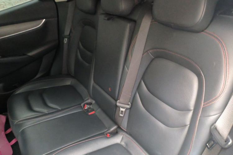 Used BORGWARD BX5 2017 20TGDI Automatic Two-Wheel Drive Pioneer Edition Left Rear Seat