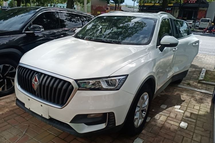 BORGWARD BX5 2017