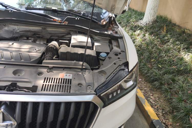 Used BORGWARD BX5 2017 20TGDI Automatic Two-Wheel Drive Pioneer Edition Engine Bay Left
