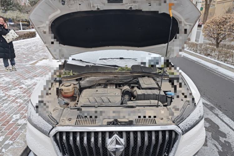 Used BORGWARD BX5 2017 20TGDI Automatic Two-Wheel Drive Pioneer Edition Engine Bay