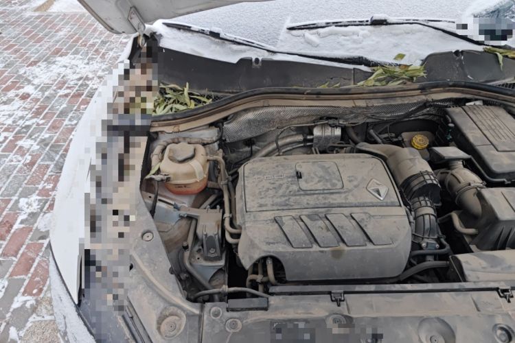 Used BORGWARD BX5 2017 20TGDI Automatic Two-Wheel Drive Pioneer Edition Engine Bay Right
