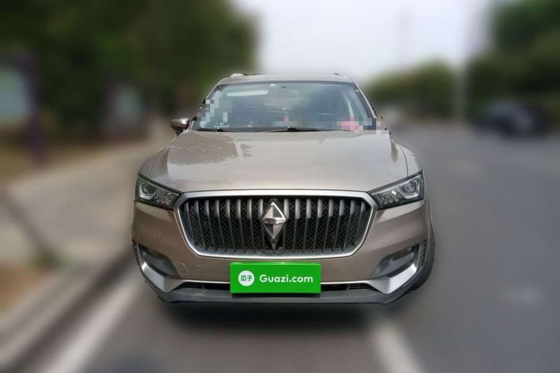 Used BORGWARD BX5 2017 20TGDI Automatic Two-Wheel Drive Entry-Level Edition Front