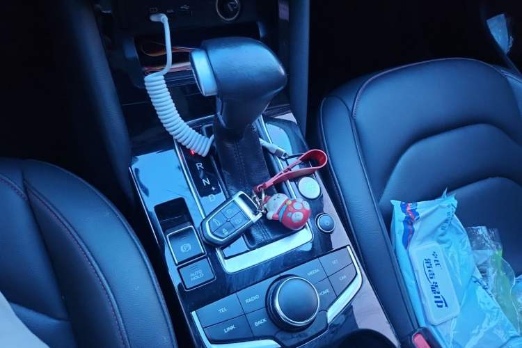 Used BORGWARD BX5 2017 20TGDI Automatic Two-Wheel Drive Pioneer Edition Gear Lever