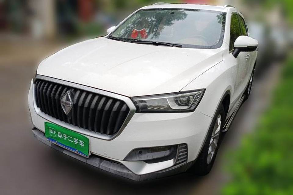 BORGWARD BX5 2017