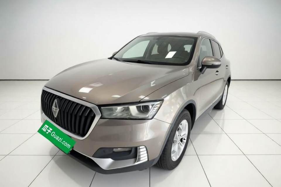 BORGWARD BX5 2017