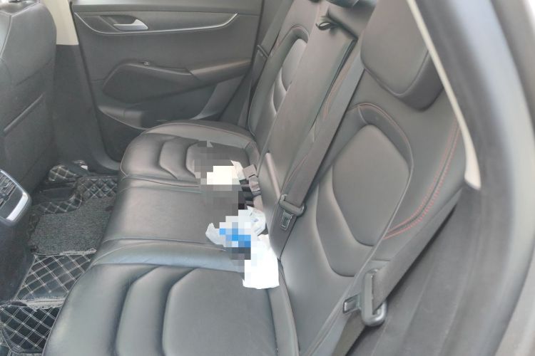 Used BORGWARD BX5 2017 25TGDI Automatic Two-Wheel Drive Sharp Model Left Rear Seat