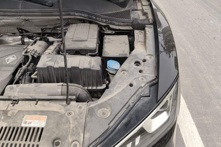 Used BORGWARD BX5 2020 20TGDI Automatic Two-Wheel Drive Pioneer Edition Engine Bay Left