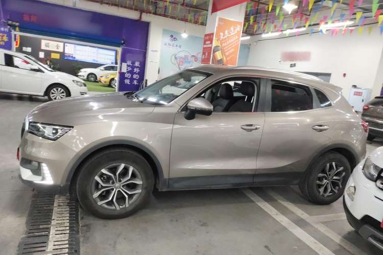 Used BORGWARD BX5 2020 20TGDI Automatic Two-Wheel Drive Pioneer Edition Left Side