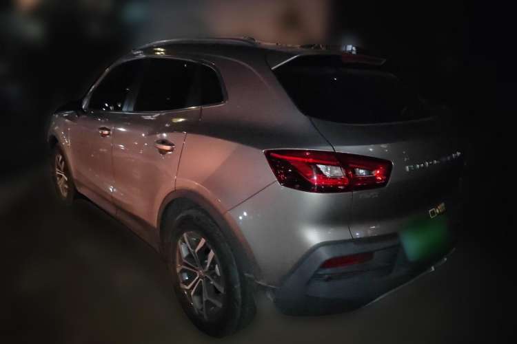 Used BORGWARD BX5 2020 20TGDI Automatic Two-Wheel Drive Pioneer Edition Rear Left 45 Deg