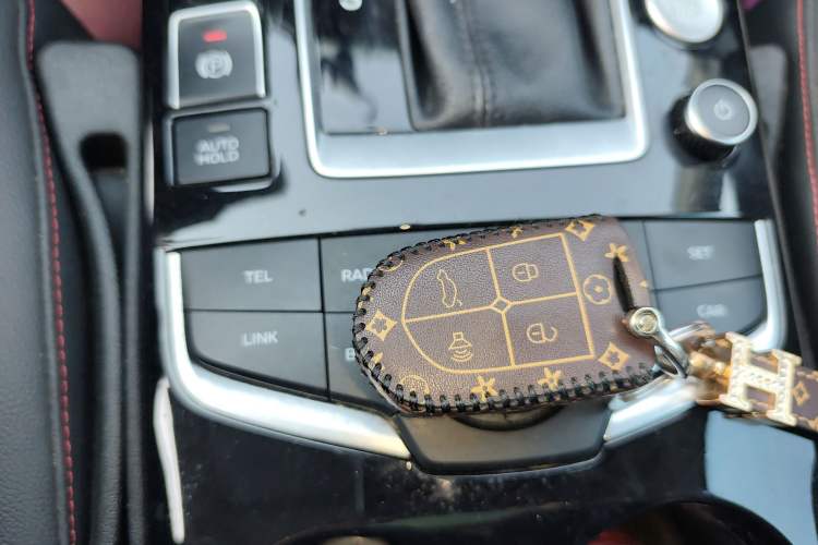 Used BORGWARD BX5 2020 20TGDI Automatic Two-Wheel Drive Pioneer Edition Vehicle Key
