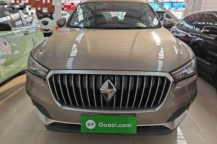 Used BORGWARD BX5 2020 20TGDI Automatic Two-Wheel Drive New Edition Exterior 1