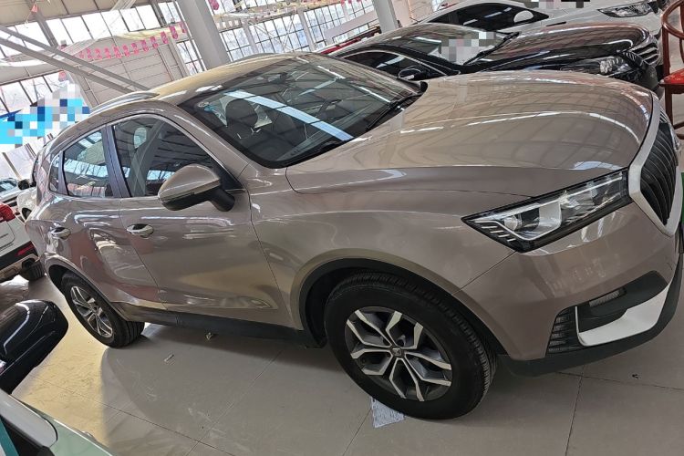 Used BORGWARD BX5 2020 20TGDI Automatic Two-Wheel Drive New Edition Exterior 2