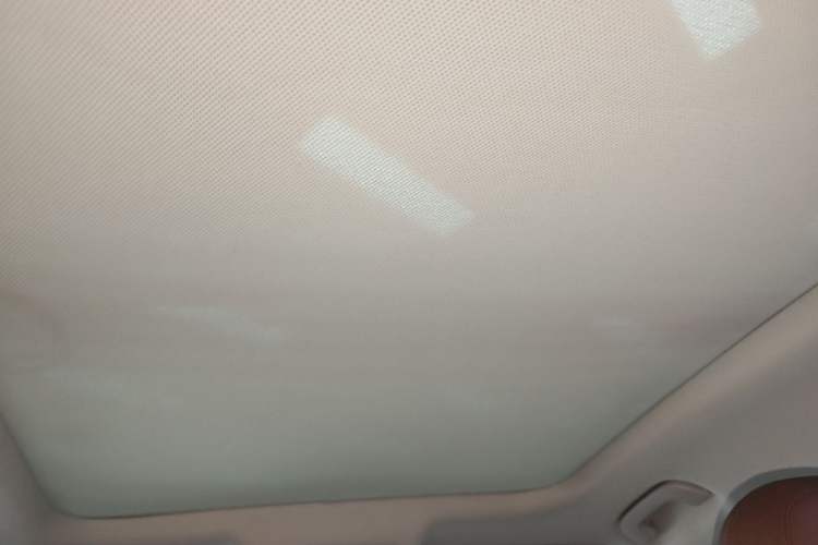 Used BORGWARD BX5 2020 20TGDI Automatic Two-Wheel Drive Pioneer Edition Headliner