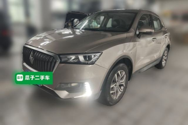 Używany BORGWARD BX5 2020 20TGDI Automatic Two-Wheel Drive Pioneer Edition