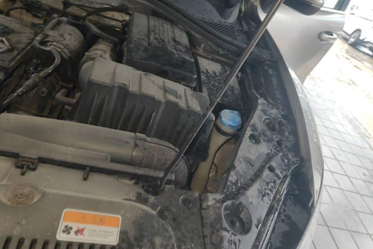 Used BORGWARD BX5 2020 20TGDI Automatic Two-Wheel Drive Pioneer Edition Engine Bay Left