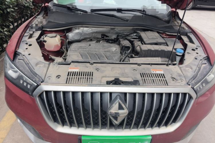 Used BORGWARD BX5 2020 20TGDI Automatic Two-Wheel Drive New Edition Engine Bay