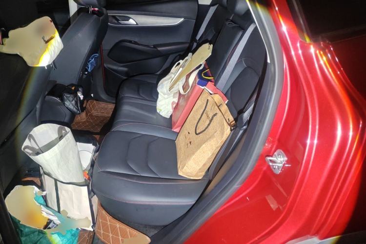 Used BORGWARD BX5 2020 20TGDI Automatic Two-Wheel Drive Pioneer Edition Left Rear Seat