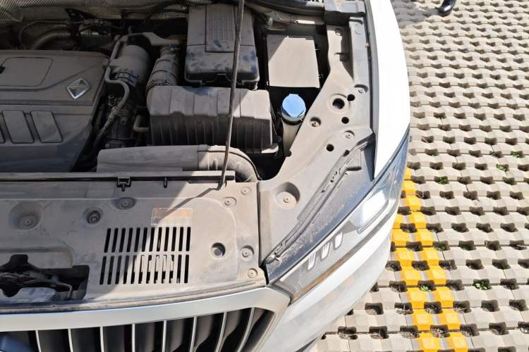 Used BORGWARD BX5 2020 20TGDI Automatic Two-Wheel Drive Pioneer Edition Engine Bay Left