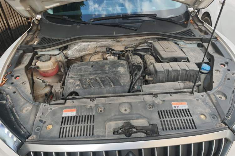 Used BORGWARD BX5 2020 20TGDI Automatic Two-Wheel Drive Entry-Level Edition Engine Bay