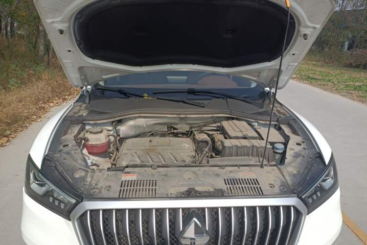 Used BORGWARD BX5 2020 20TGDI Automatic Two-Wheel Drive Pioneer Edition Engine Bay