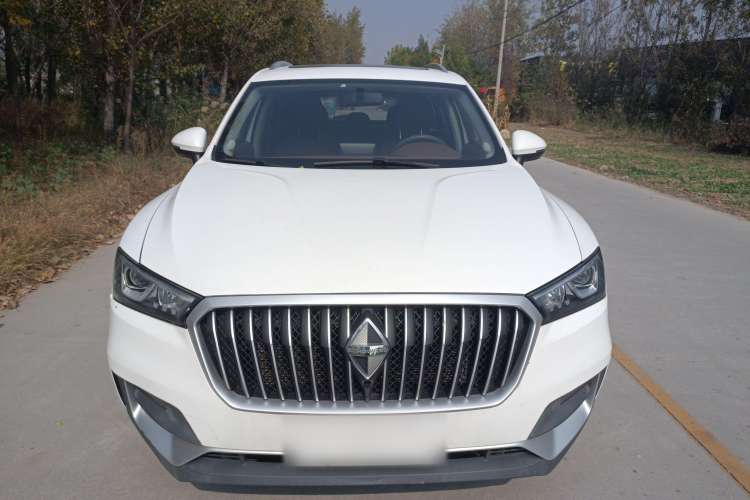 Used BORGWARD BX5 2020 20TGDI Automatic Two-Wheel Drive Pioneer Edition Front