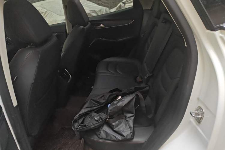 Used BORGWARD BX5 2020 20TGDI Automatic Two-Wheel Drive Pioneer Edition Left Rear Seat