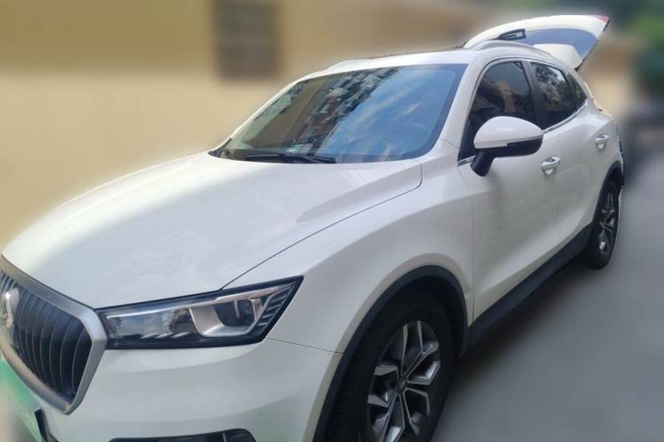 BORGWARD BX5 2020
