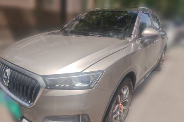 Used BORGWARD BX5 2020 20TGDI Automatic Two-Wheel Drive Pioneer Edition