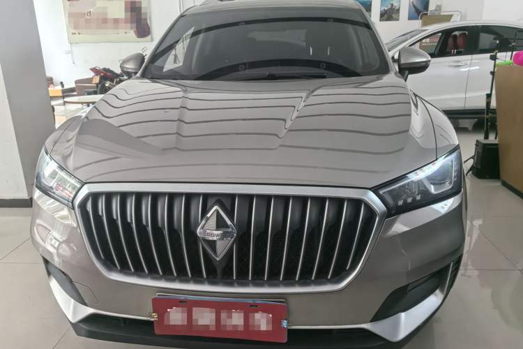 Used BORGWARD BX5 2020 20TGDI Automatic Two-Wheel Drive Pioneer Edition Exterior 2