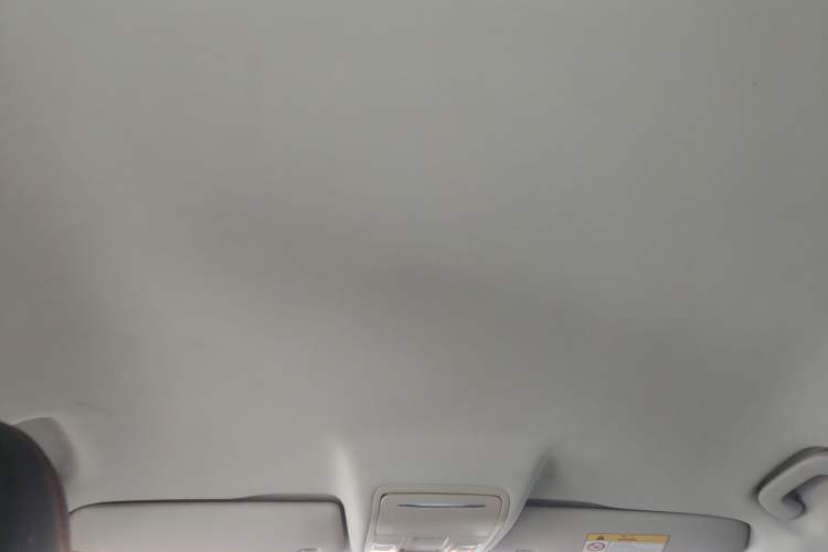Used BORGWARD BX5 2020 20TGDI Automatic Two-Wheel Drive New Edition Headliner