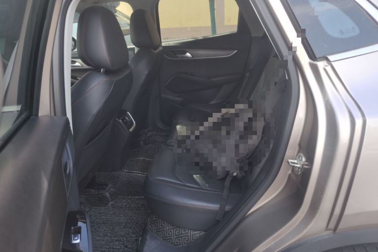 Used BORGWARD BX5 2020 20TGDI Automatic Two-Wheel Drive Pioneer Edition Left Rear Seat