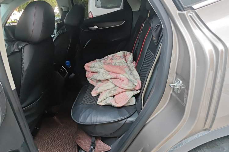 Used BORGWARD BX5 2020 20TGDI Automatic Two-Wheel Drive Pioneer Edition Left Rear Seat